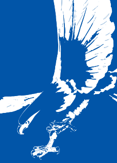 About eagle logo