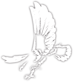Index slogan eagle